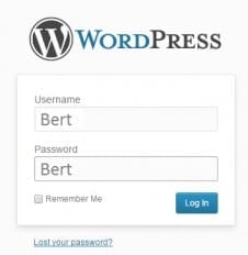 Your Website Is Under Threat Right Now wordpress-log-in-simple-password
