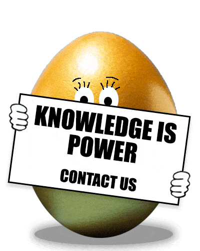 knowledge is power market research from Blue Dolphin helps you make decisions