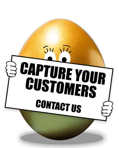 capture your customers information when they visit your website