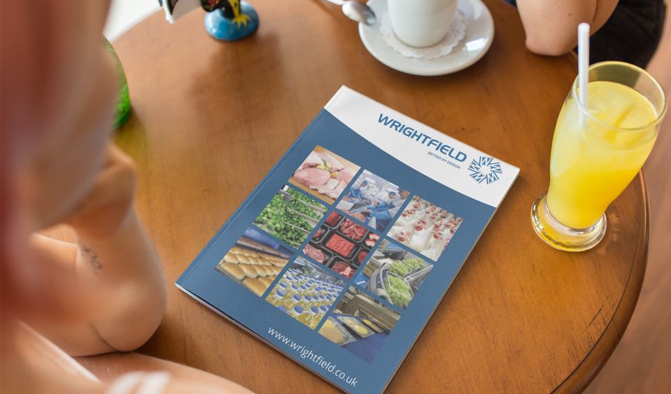 wrightfield brochure blue dolphin business development