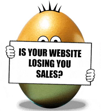 is your website losing you sales talk to Blue Dolphin for a free website audit