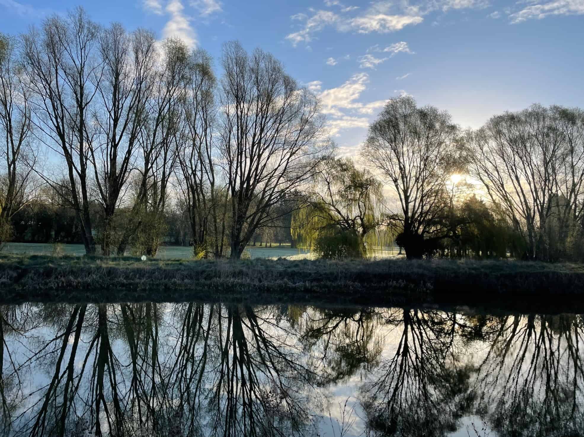 peterborough marketing tactics trees on river bank reflections blue dolphin