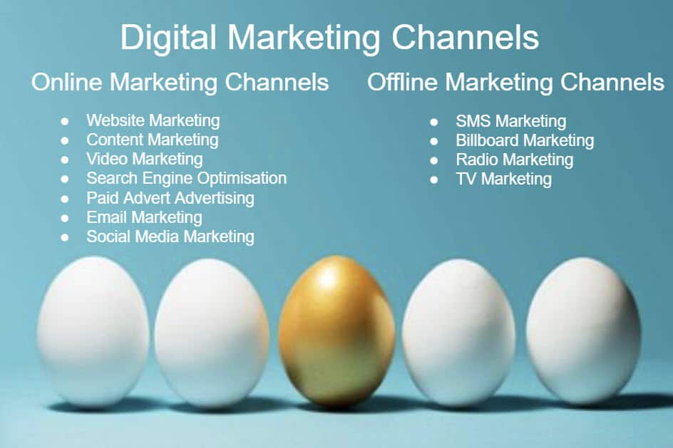 digital marketing channels blue dolphin website design Website Marketing Guide