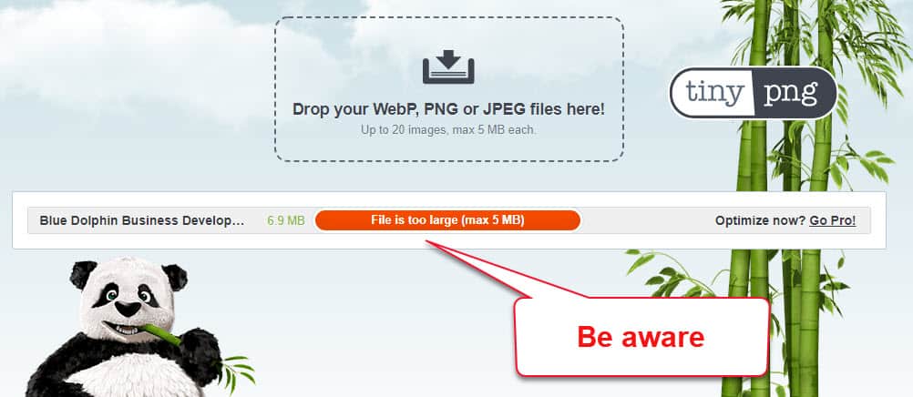 tinypng max 5mb how to optimise images web design blue dolphin website design