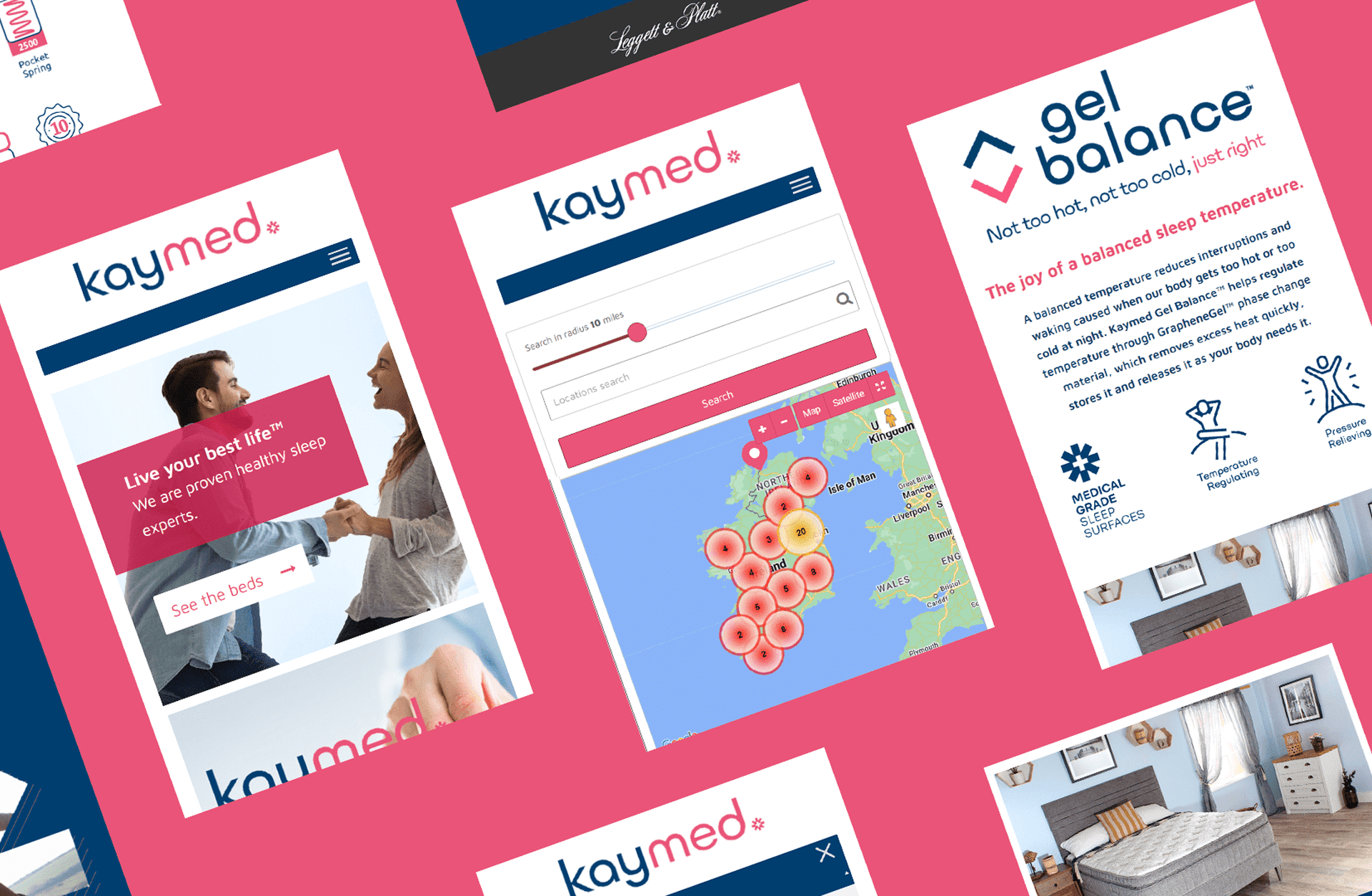 kaymed web design and build Blue Dolphin